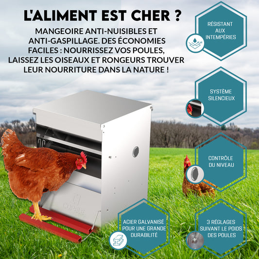 Mangeoire automatique pour poules, anti-nuisibles et anti-gaspillage