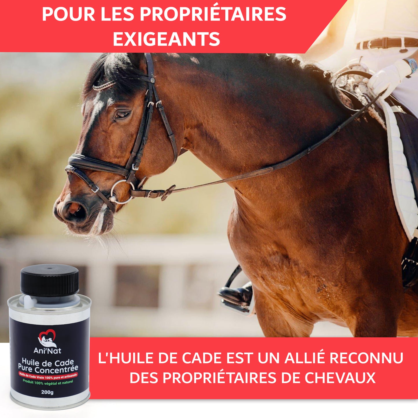Huile de Cade pure concentrée 200gr avec pinceau applicateur