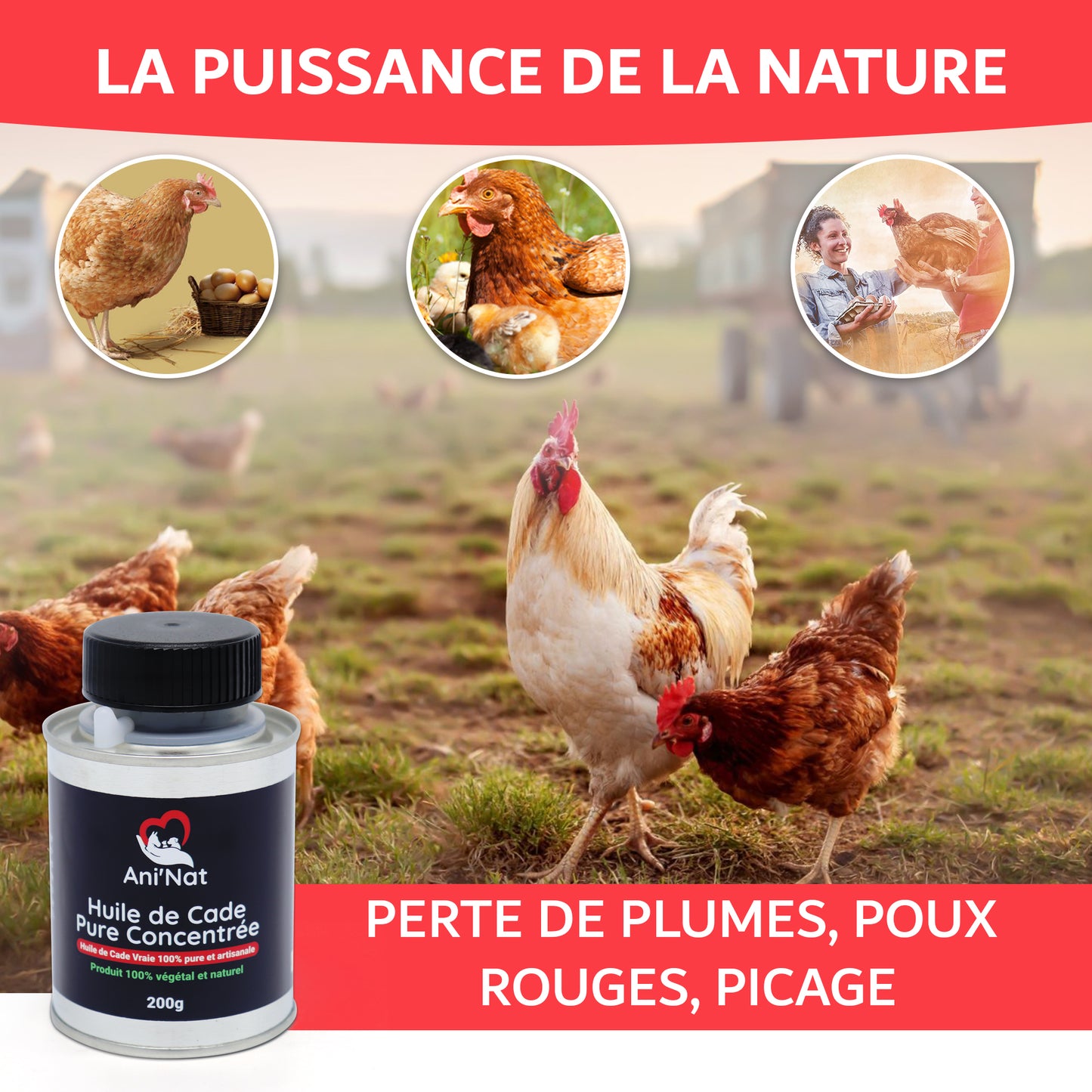 Huile de Cade pure concentrée 200gr avec pinceau applicateur