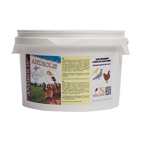 ANDROLIS ®, prédateur naturel du poux rouge