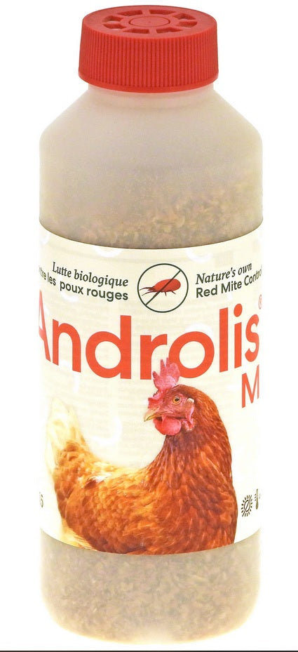 ANDROLIS ®, prédateur naturel du poux rouge
